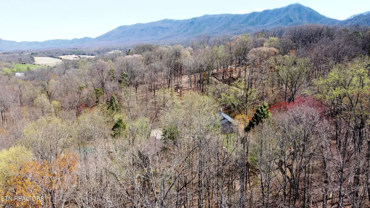 Sevierville, TN 37876,223 Burning Oaks DR