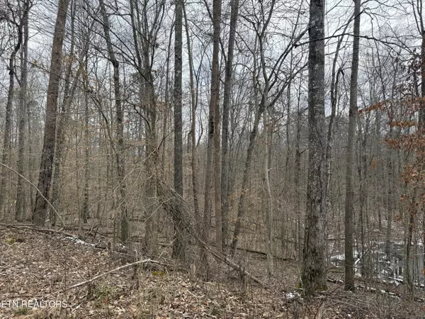 Speedwell, TN 37870,JONES RIDGE RD Rd