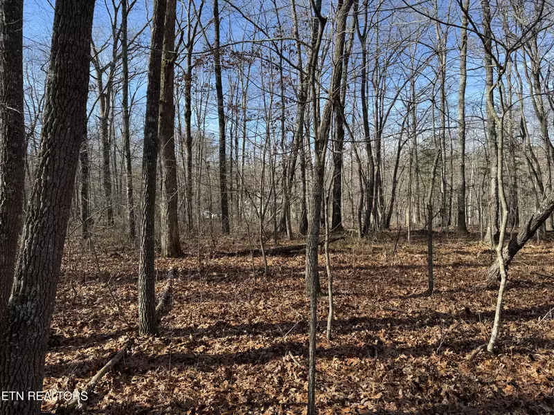 Sycamore Bend, Monterey, TN 38574