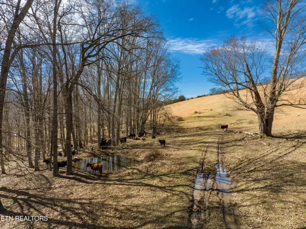 Thorn Hill, TN 37881,2192 Wolfe Circle