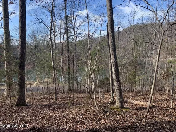 Lot 170 Laurel Lake Circle CIR, Madisonville, TN 37354