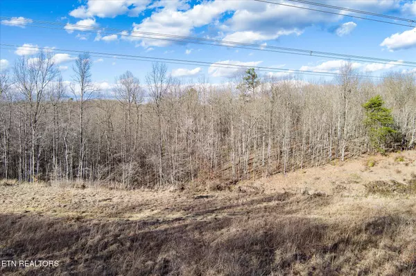 Monterey, TN 38574,0 Arrow Trail