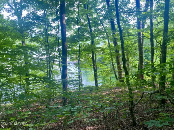 Maynardville, TN 37807,Lot #130 Hickory Pointe LN