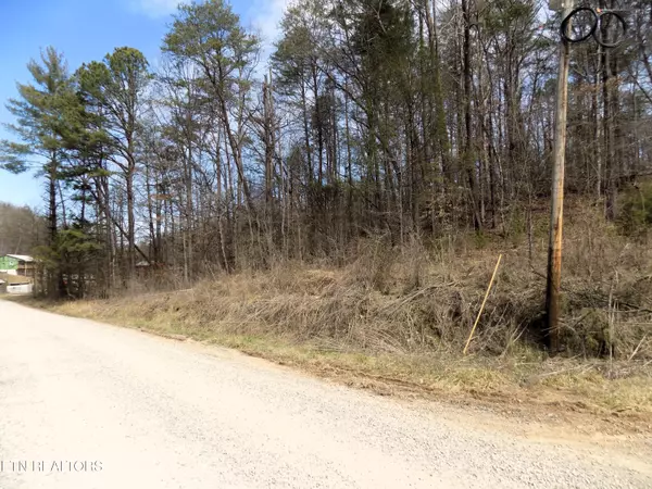 Lot 50/51 Deerfoot Rd, Cosby, TN 37722