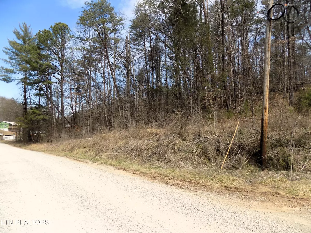 Cosby, TN 37722,Lot 50/51 Deerfoot Rd