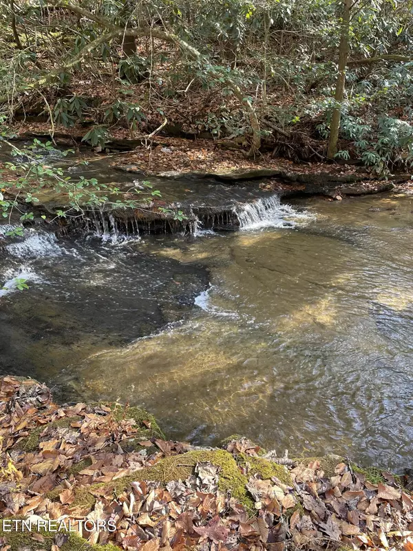 Oakdale, TN 37829,Oakdale Piney Rd