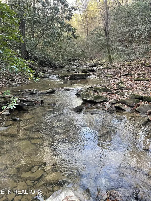 Oakdale, TN 37829,Oakdale Piney Rd