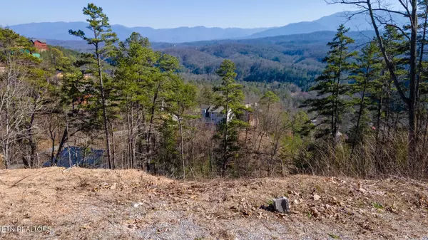 Lot 10 Bg Fox View Rd, Sevierville, TN 37876
