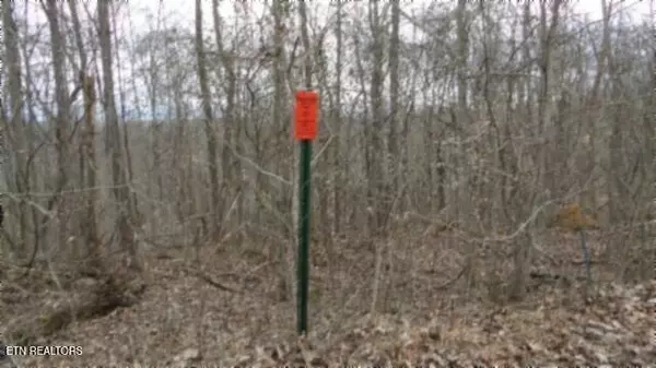 Gainesboro, TN 38562,Tract 24 Beaver Lane