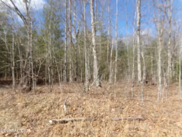 Crossville, TN 38572,900 Paola DR