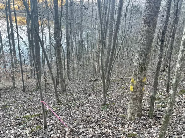 Sparta, TN 38583,0 Back Bone Rd