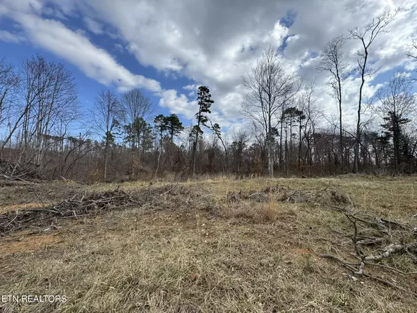 Strawberry Plains, TN 37871,McCubbins Rd