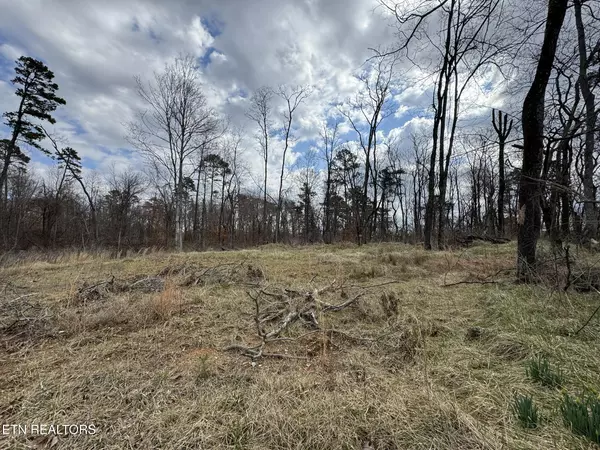 Strawberry Plains, TN 37871,McCubbins Rd