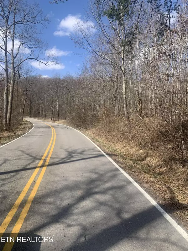 Sunbright, TN 37872,100 C E Todd Rd