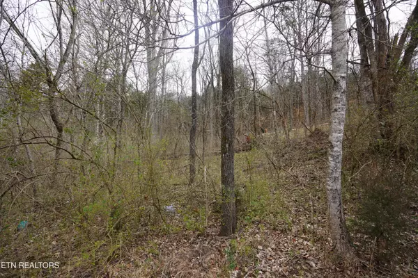 Sparta, TN 38583,oakwood St