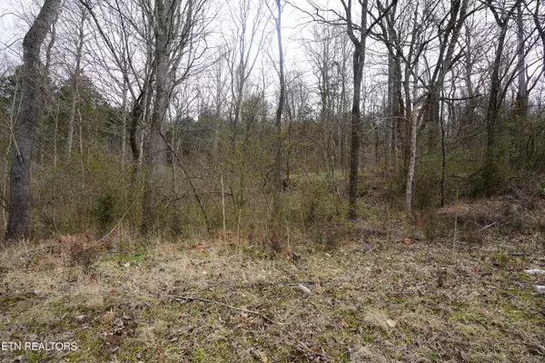 Sparta, TN 38583,oakwood St