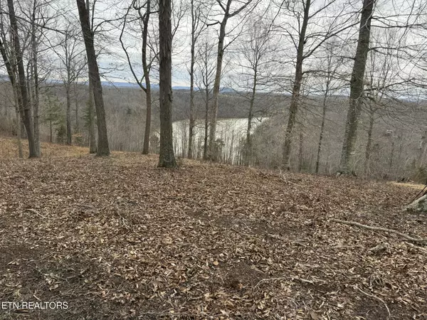 Lot 7 Amonett Rd, Byrdstown, TN 38549