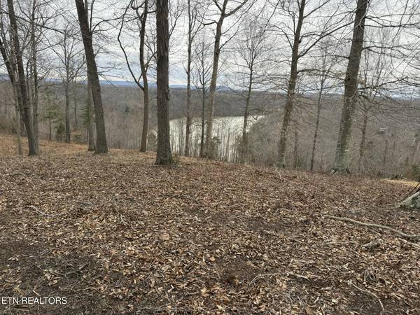 Lot 7 Amonett Rd, Byrdstown, TN 38549