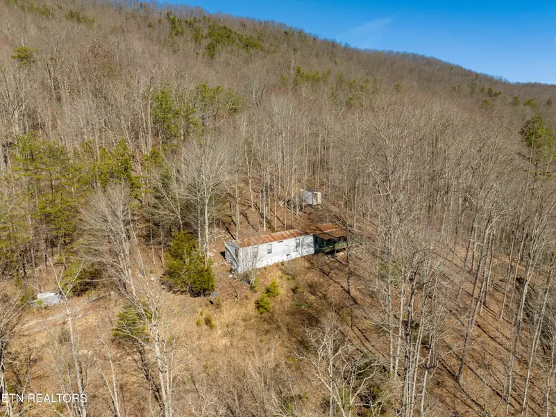 7280 Snake Hollow Rd, Sneedville, TN 37869