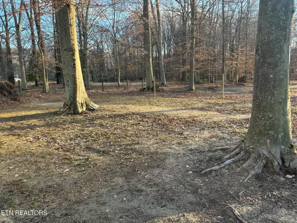 Church Hill, TN 37642,350 River Rd