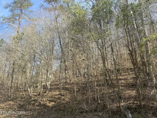New Tazewell, TN 37825,17 Mountain Shores Rd