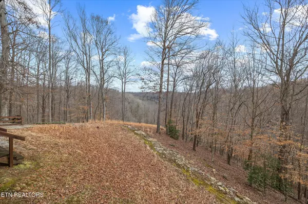 Byrdstown, TN 38549,122 Black Oak LN