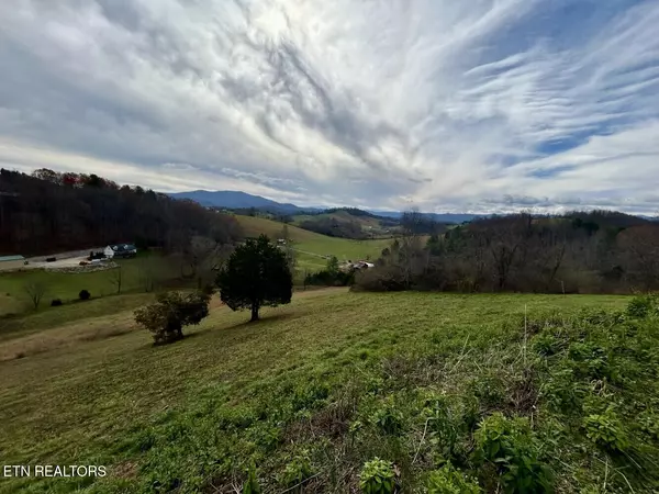 Butler, TN 37640,0 Maple Wood DR