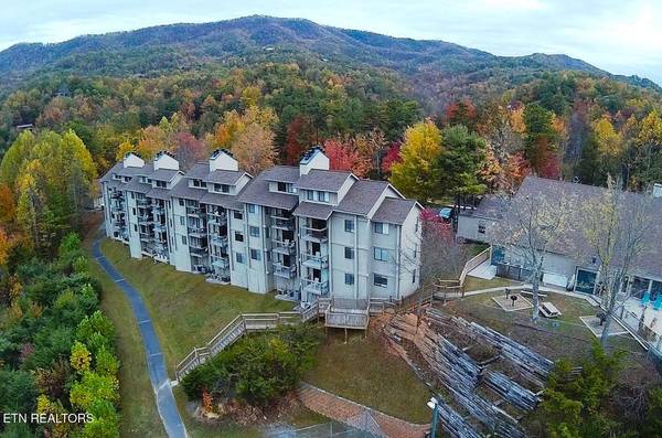 3710 Weber Rd #201B, Gatlinburg, TN 37738