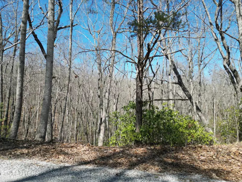 607 St George DR, Crossville, TN 38558