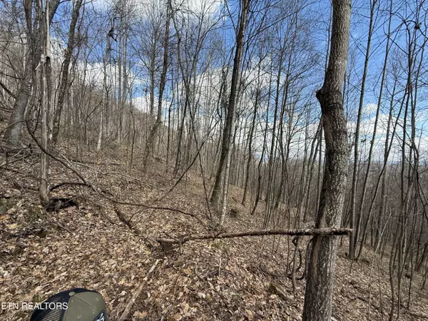 Rose Hill, VA 24281,TBD Mountain Springs Rd