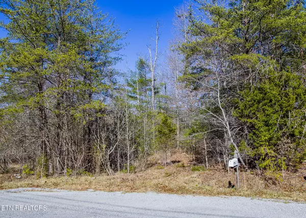 Crossville, TN 38555,LOT  #18 Grace LN