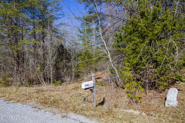 Crossville, TN 38555,LOT  #18 Grace LN