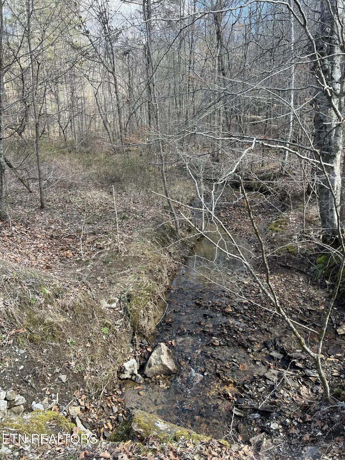 Frakes, KY 40940,KY 204, Happy Hollow