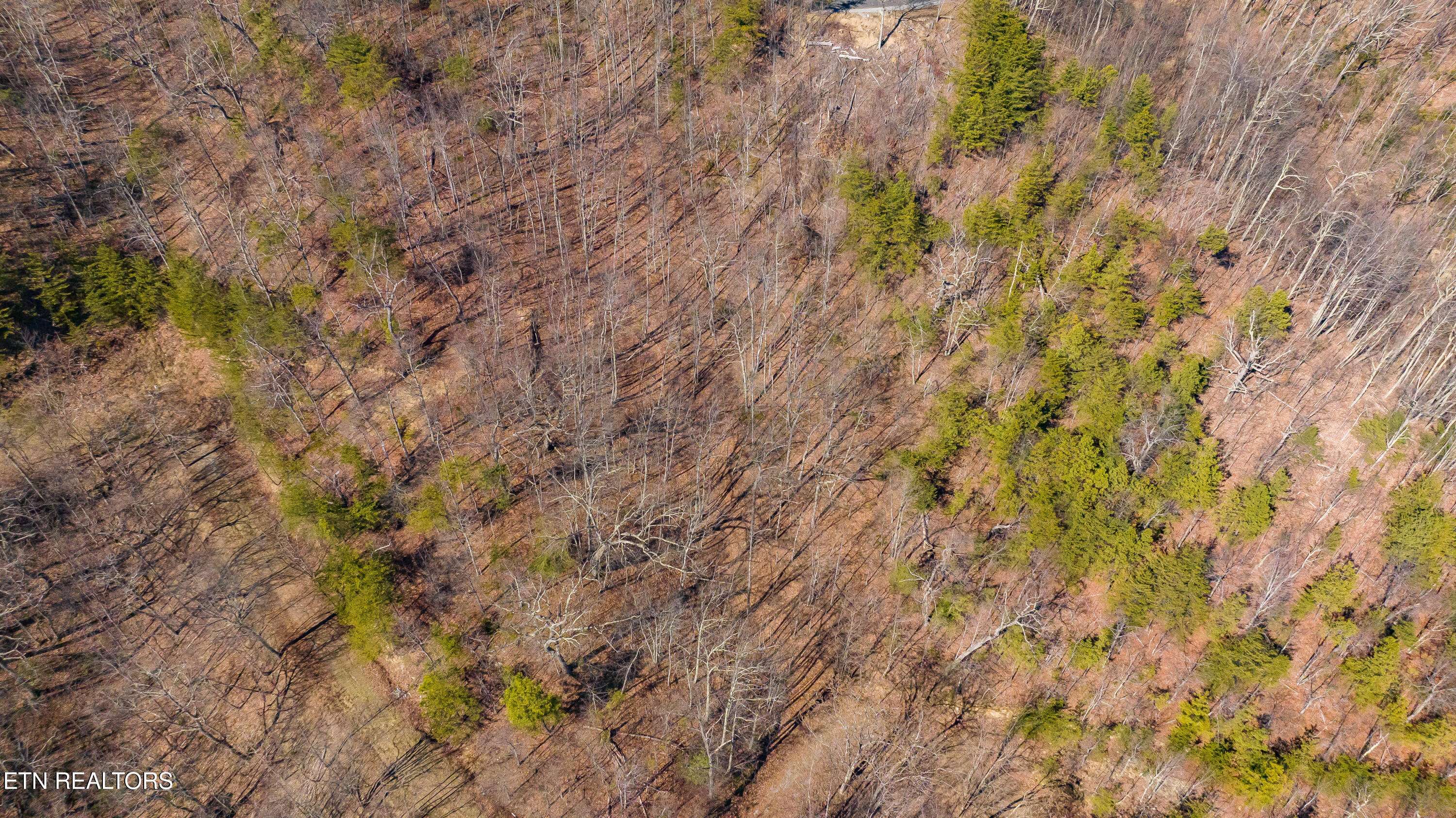 Gatlinburg, TN 37738,Cumberland Way