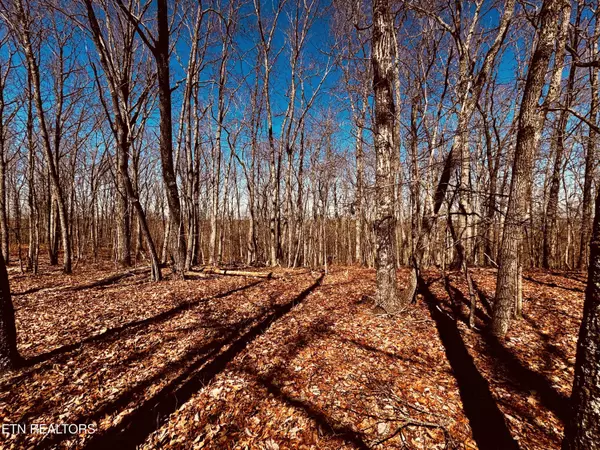 Spencer, TN 38585,0 Bald Knob Rd