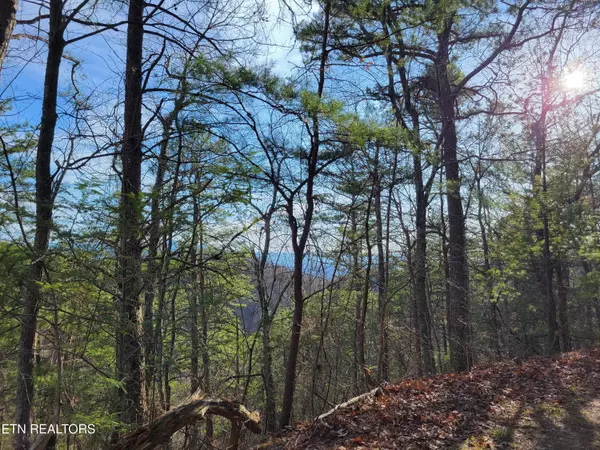 Sevierville, TN 37876,Lot 9 Eagle PT