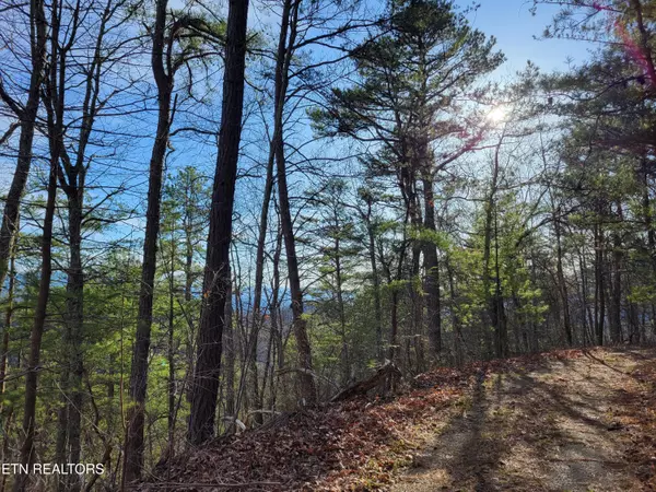 Lot 9 Eagle PT, Sevierville, TN 37876