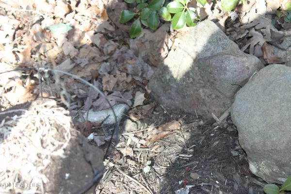 Cosby, TN 37722,299 Harmony WAY