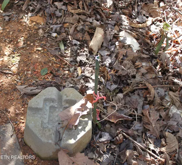 Cosby, TN 37722,299 Harmony WAY