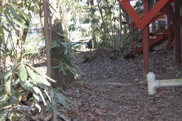 Cosby, TN 37722,299 Harmony WAY