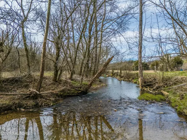 Powder Springs, TN 37848,13901 Hwy 131