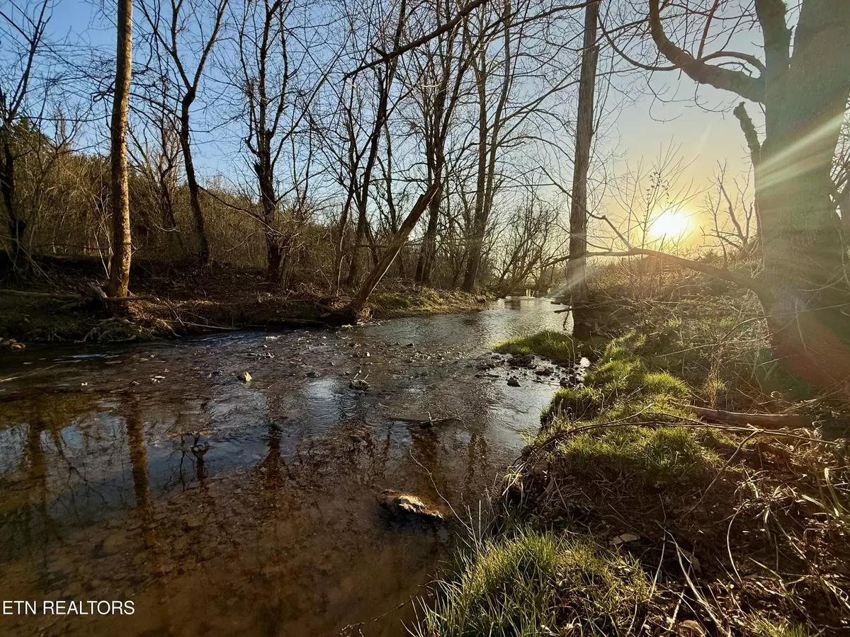 Powder Springs, TN 37848,13901 Hwy 131