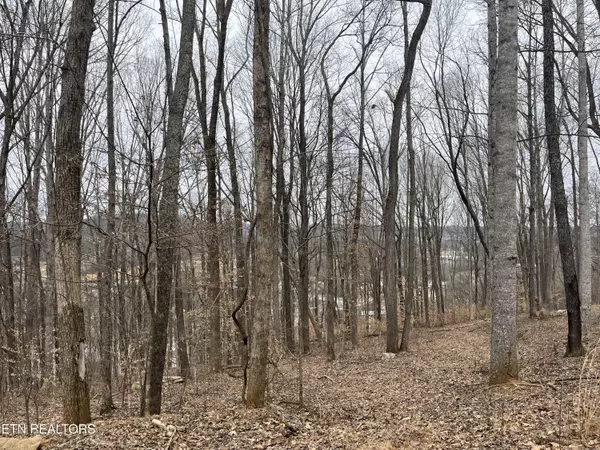 Livingston, TN 38570,147 Chestnut Hill Rd Rd