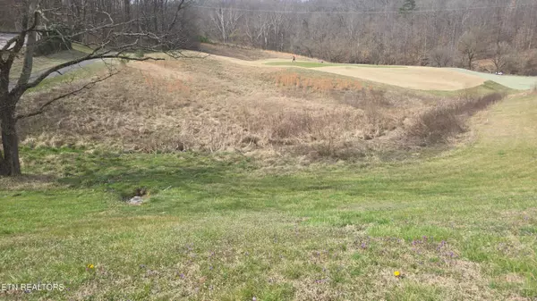 Sevierville, TN 37876,Lot 10 Bobwhite Tr