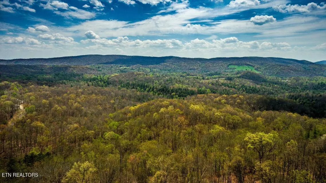 Harriman, TN 37748,Lot #19 - Green Ridge Trails Tr