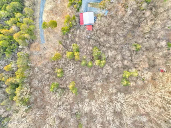 Luttrell, TN 37779,184 Tazewell PIKE