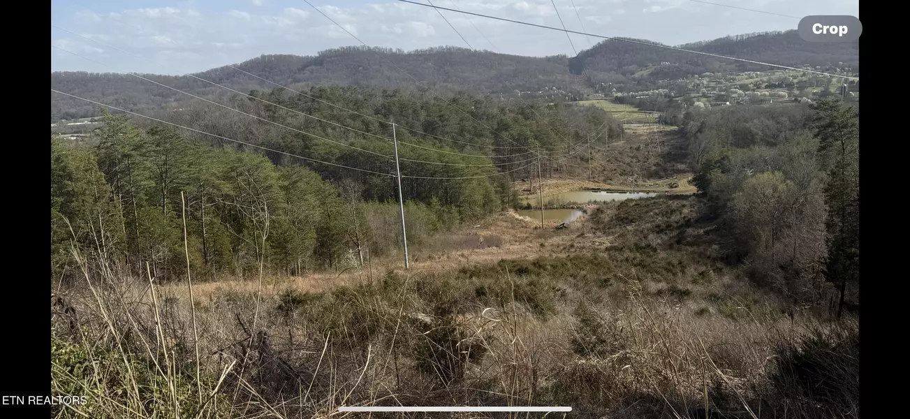 1372 Friends Station Rd, New Market, TN 37820