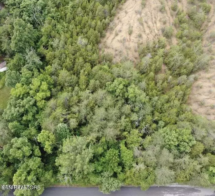 Sevierville, TN 37876,Lot 46 Driftwood CIR