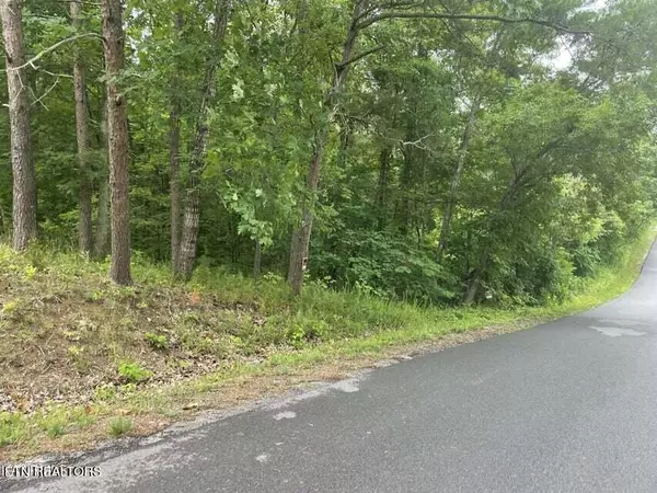 Sevierville, TN 37876,Lot 46 Driftwood CIR