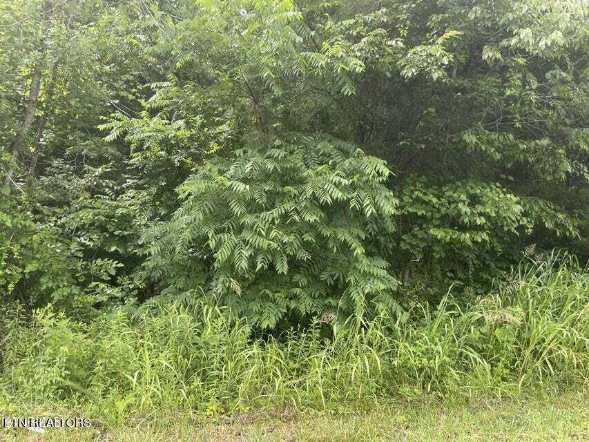 Sevierville, TN 37876,Lot 46 Driftwood CIR